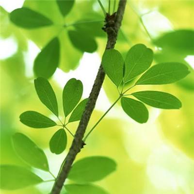 星空体育2024下载app下载