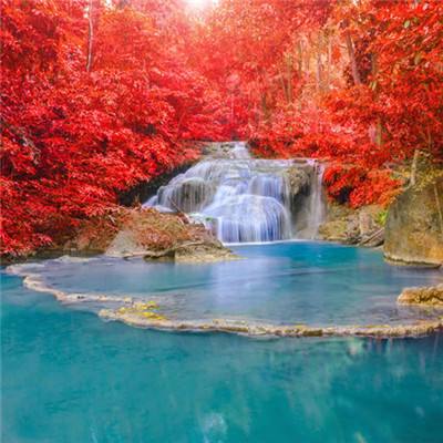 半岛官方APP入口下载手机版