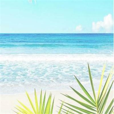 南宫28ng娱乐app下载截图