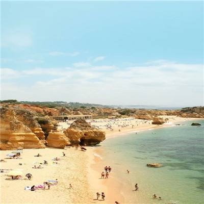 澳门精准正版资料大全app下载