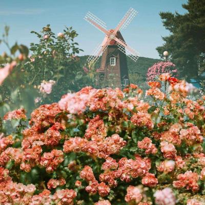 k8凯发国际官网入口