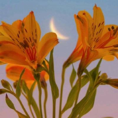 爱体育官方网站