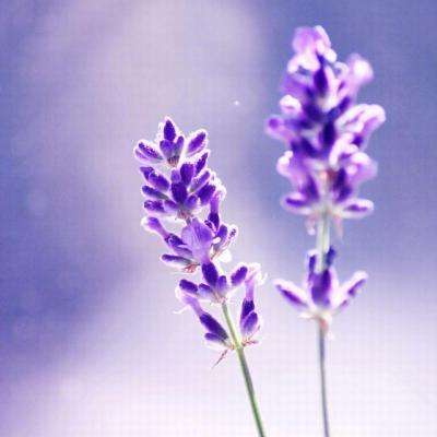 星空体育官方网站app下载截图