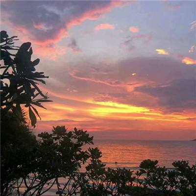 开运全站手机网页登录截图